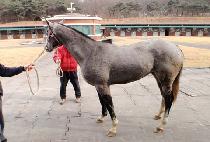 ��������� (BLESS NODIN) ����