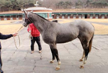 ��������� ����