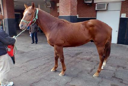 �۽�Ʈ������ ����