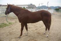 �������Ŀ� (HYPER POWER) ����