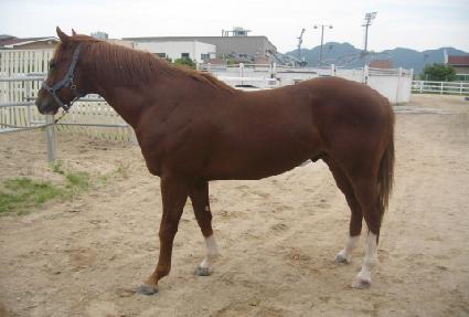 �������Ŀ� ����