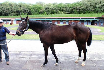 ��Ű��ī�� ����