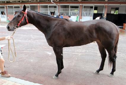 ��� ����