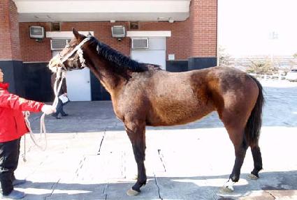 ���޻� ����