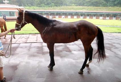 ������� ����