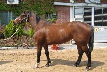 �����ô� (YEONGUNG SIDAE) ����