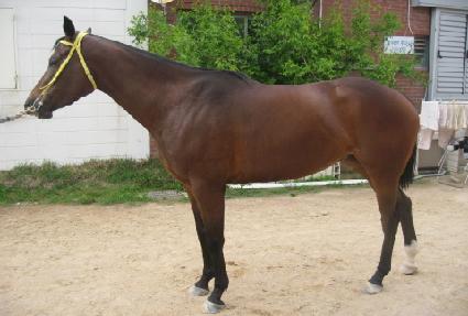 �Ŀ�����Ʈ ����