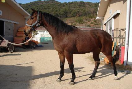 �����ۺ���ü ����