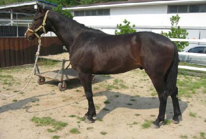 ���Ǵ��� ����