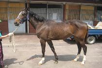 �ʿ����� (CHOWONYEOWANG) ����