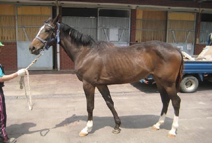 �ʿ����� ����