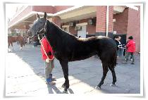 õ�߰��� (CHEONCHUGONGJU) ����