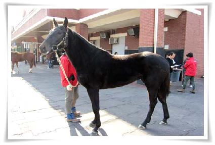 õ�߰��� ����