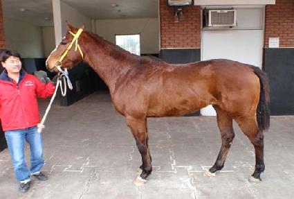 ������ɺ� ����