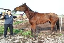 �׷����۽�Ʈ (GRAND FIRST) ����