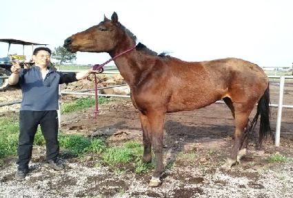 �׷����۽�Ʈ ����