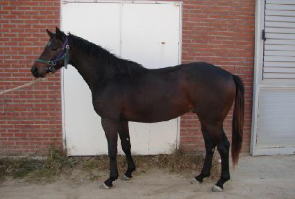 �̽��͸��� ����