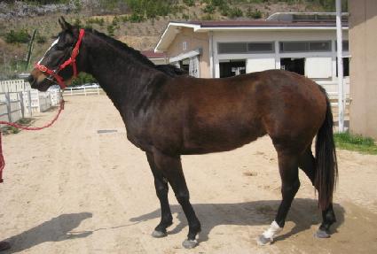 �ΰ淹���� ����