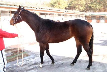 ���ʽ� ����