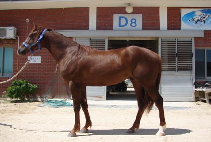 ��己 ����