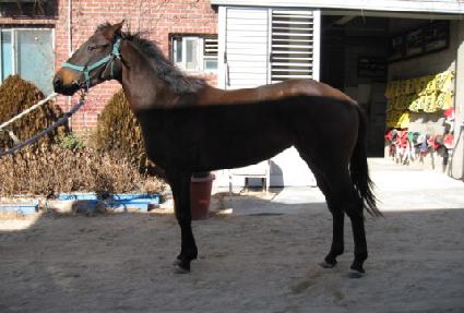 ������ ����