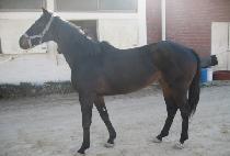 ������� (GODO SANGSEUNG) ����