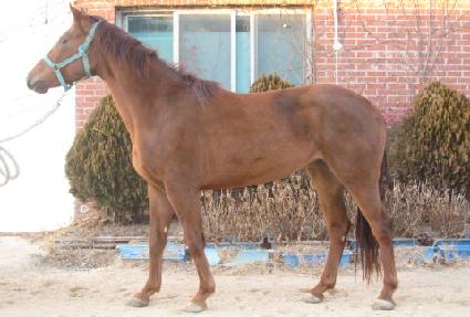 ���̽��� ����