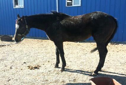 ������ǳ ����