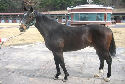 ����� ����