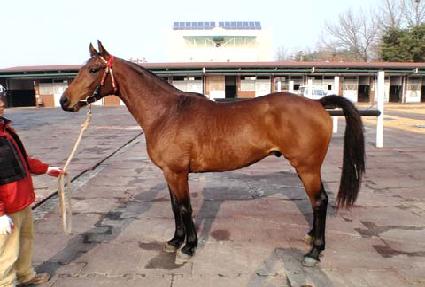 �����̽�Ÿ ����