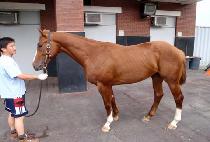 ��Ʈ��Ÿ (FORT STAR) ����