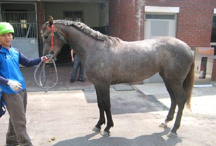 �ǹ�Ĺ ����