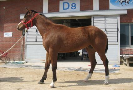 ���翣�� ����