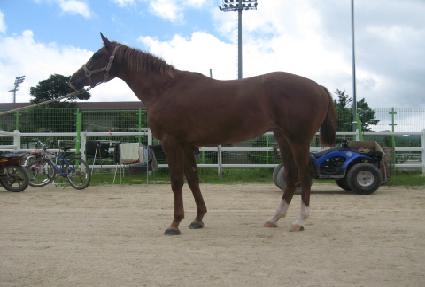 ������� ����