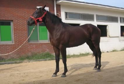 ���´����� ����