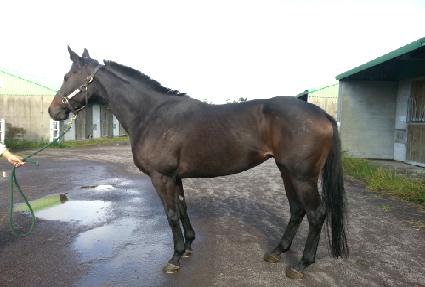 ������ ����