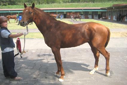 �޺���� ����