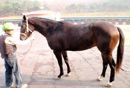 ���̵Ǵ²� ����