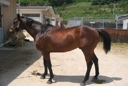 �ְ���� ����