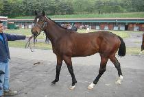 �Ž��� (PAXKO) ����