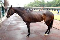 ��ſ�� (JEULGEOUN SESANG) ����