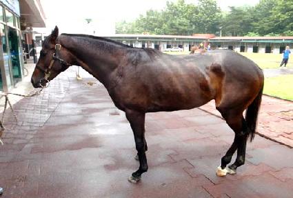 ��ſ�� ����