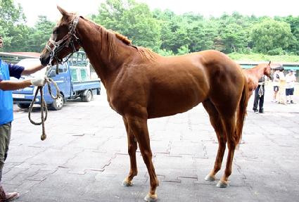 �������� ����