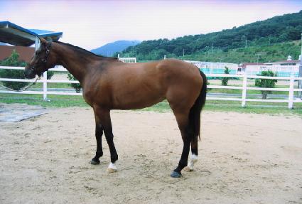 ��Ÿ���� ����