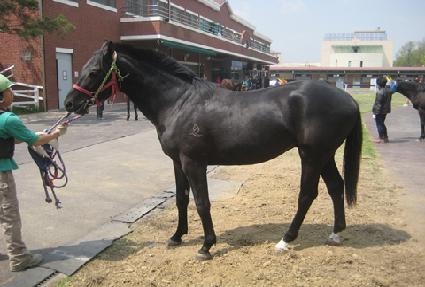 �������� ����