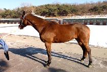 �ູ��Ƽ (HAENGBOK PARTY) ����