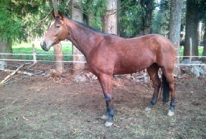 �޴��Ǹ��� ����