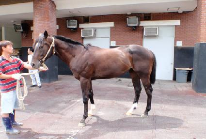 ������ũ ����