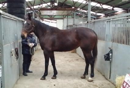 ���� ����