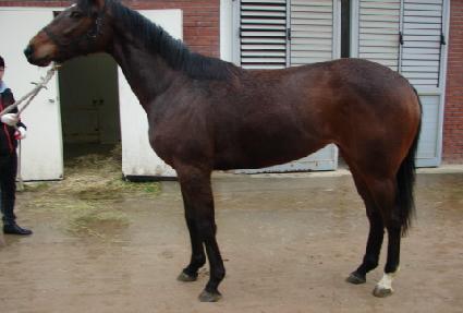 �ϼ����� ����